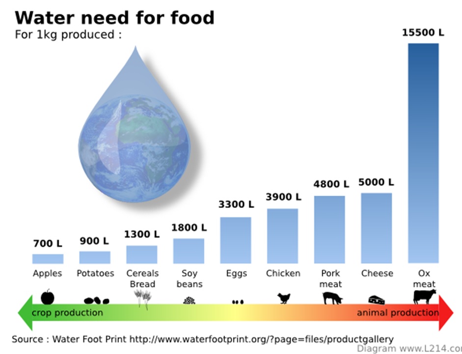 waterfood